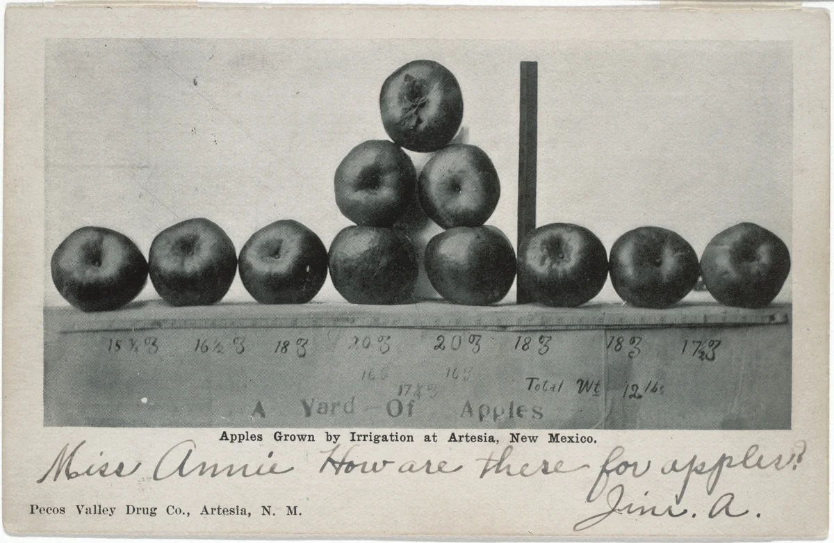 Apples Grown by Irrigation at Artesia, New Mexico by Unidentified Photographer, photograph, 1907