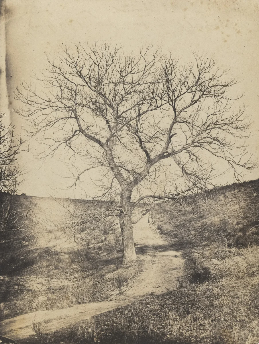 Untitled by Camille Bernabé, photograph, 1855