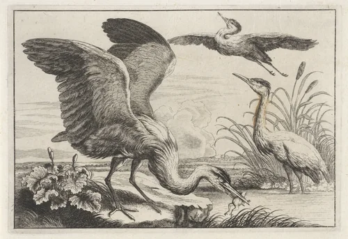 Drie reigers by anonymous, print, 1654-1712