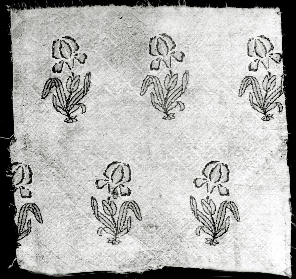 Fragment (Dress Fabric) by Iran, textile, 1675-1900