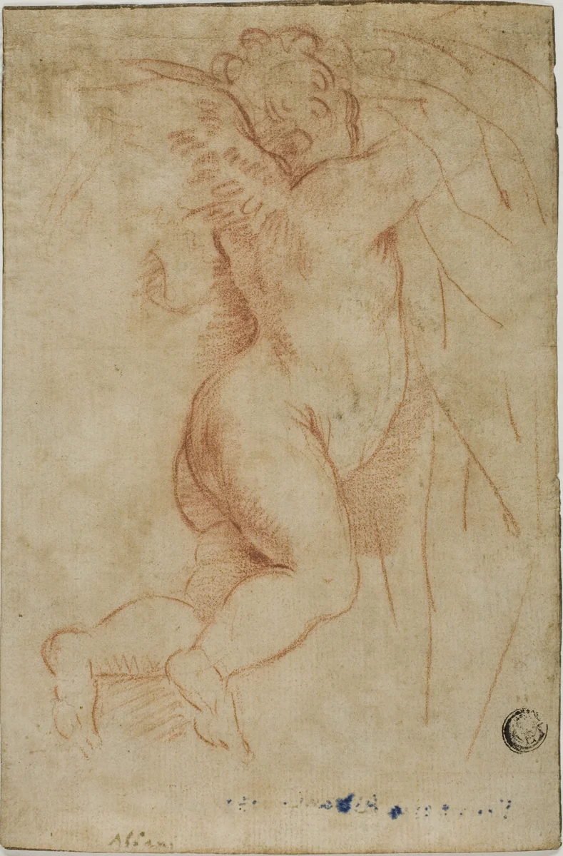 Putto Lifting Curtain (recto); Infant St. John (verso) by Mattia Preti
Carlo Maratti
Francesco Albani, drawing, 1633-1713
