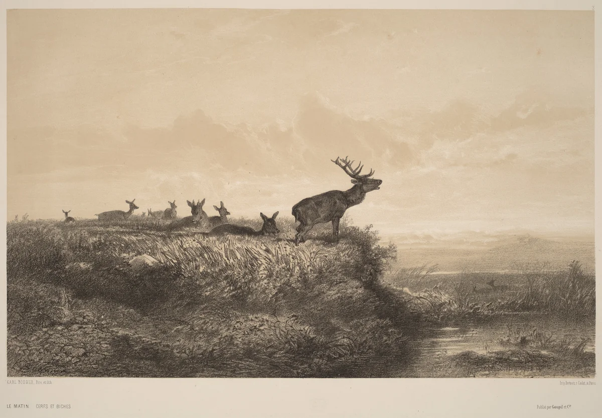 Le Matin by Karl Bodmer, print, 1809-1893