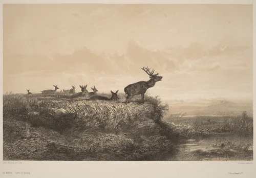 Le Matin by Karl Bodmer, print, 1809-1893