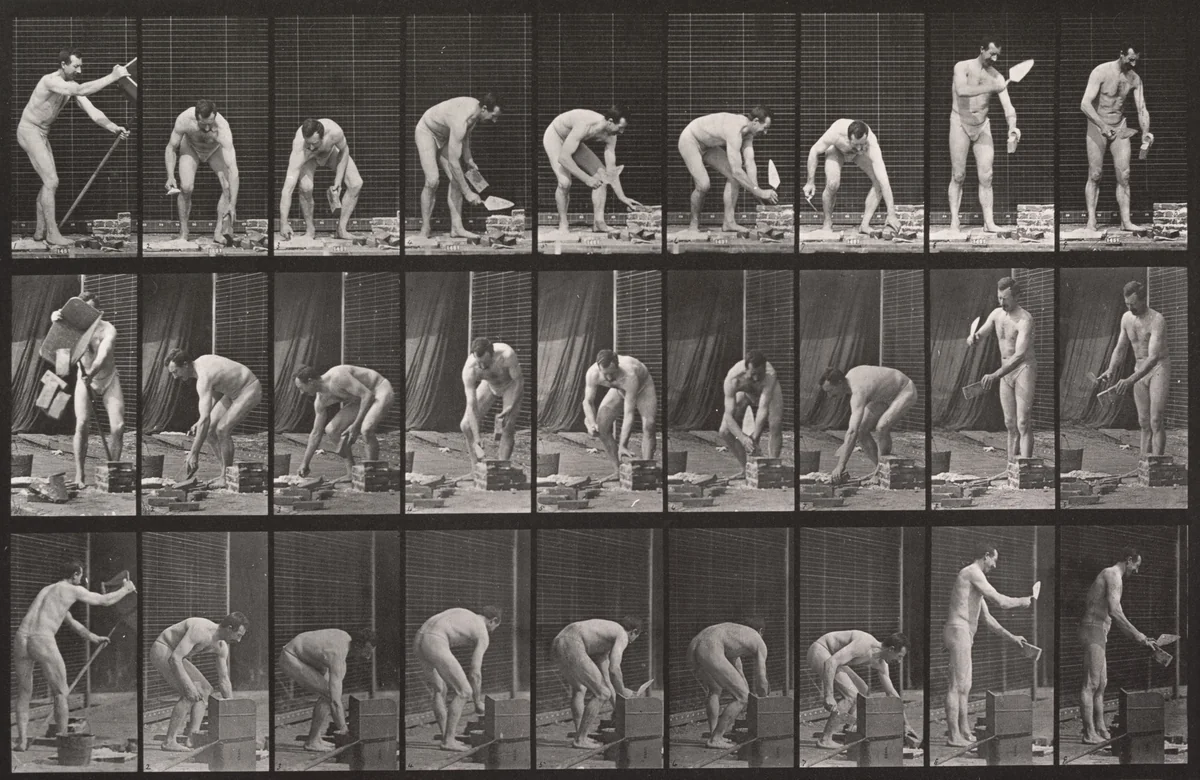 Bricklaying: Plate 505 from Animal Locomotion (1887) by Eadweard Muybridge, photograph, 1884