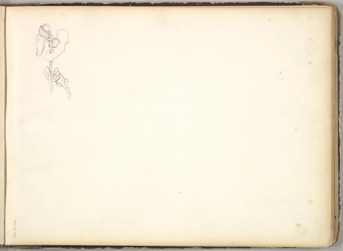 A Flower by Frederic Leighton, drawing, 1844-1854