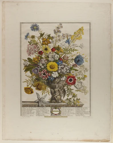 November, from Twelve Months of Flowers by Henry Fletcher
Peter Casteels III, print, 1730-1750