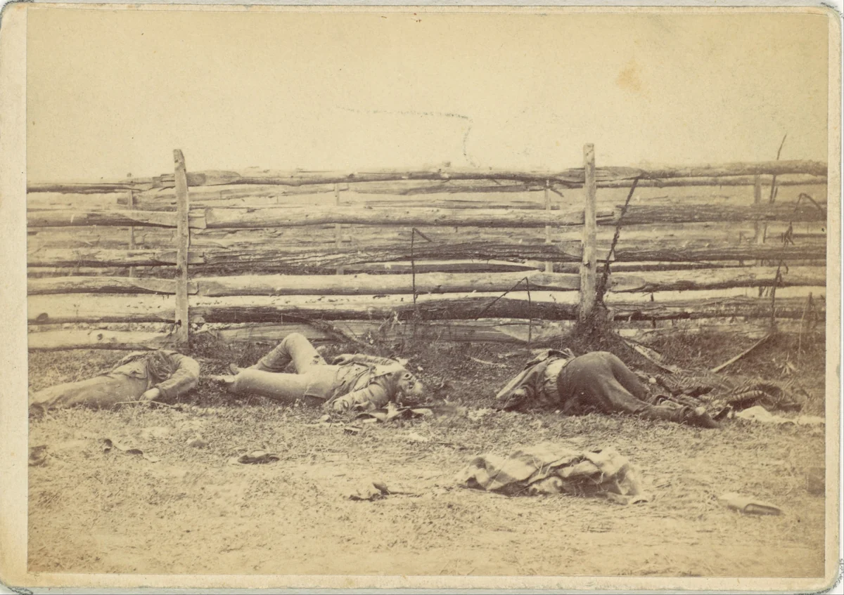 View in the Field, On the West Side of the Hagerstown Road, After the Battle of Antietam, Maryland, September 1862 by Alexander Gardner, photograph, 1862