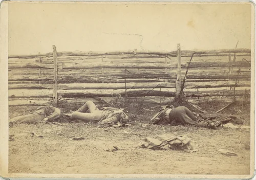 View in the Field, On the West Side of the Hagerstown Road, After the Battle of Antietam, Maryland, September 1862 by Alexander Gardner, photograph, 1862