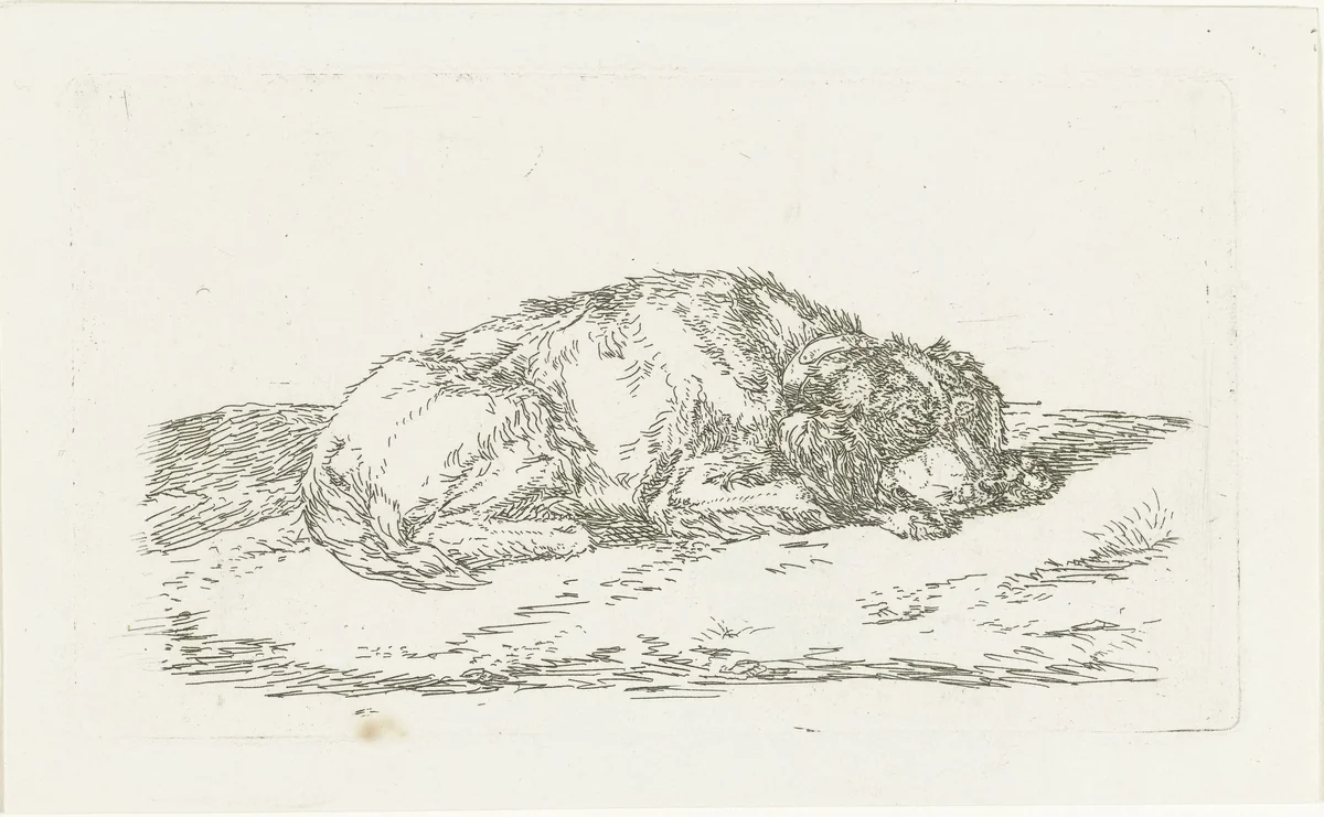 Slapende hond met kop rustend op voorpoten by Jan Dasveldt, print, 1780-1855