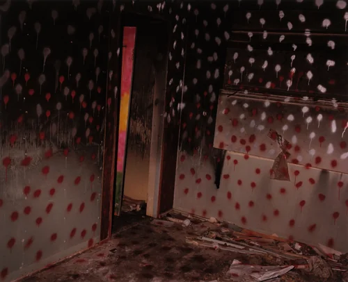 Zuma #35 by John Divola, photograph, 1978