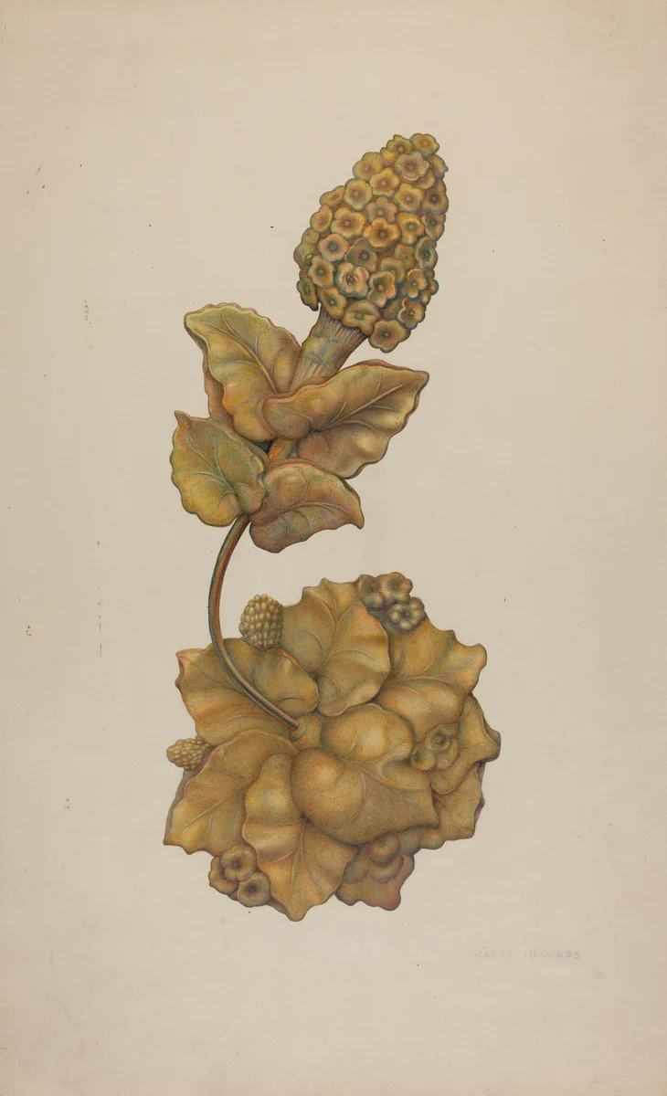 Tie-back by Harry Jennings, index of american design, 1941