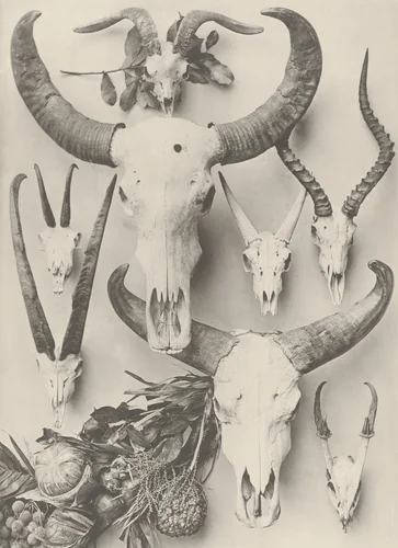 Page from Festons und Dekorative Gruppen by Unidentified Photographer, photograph, 1893