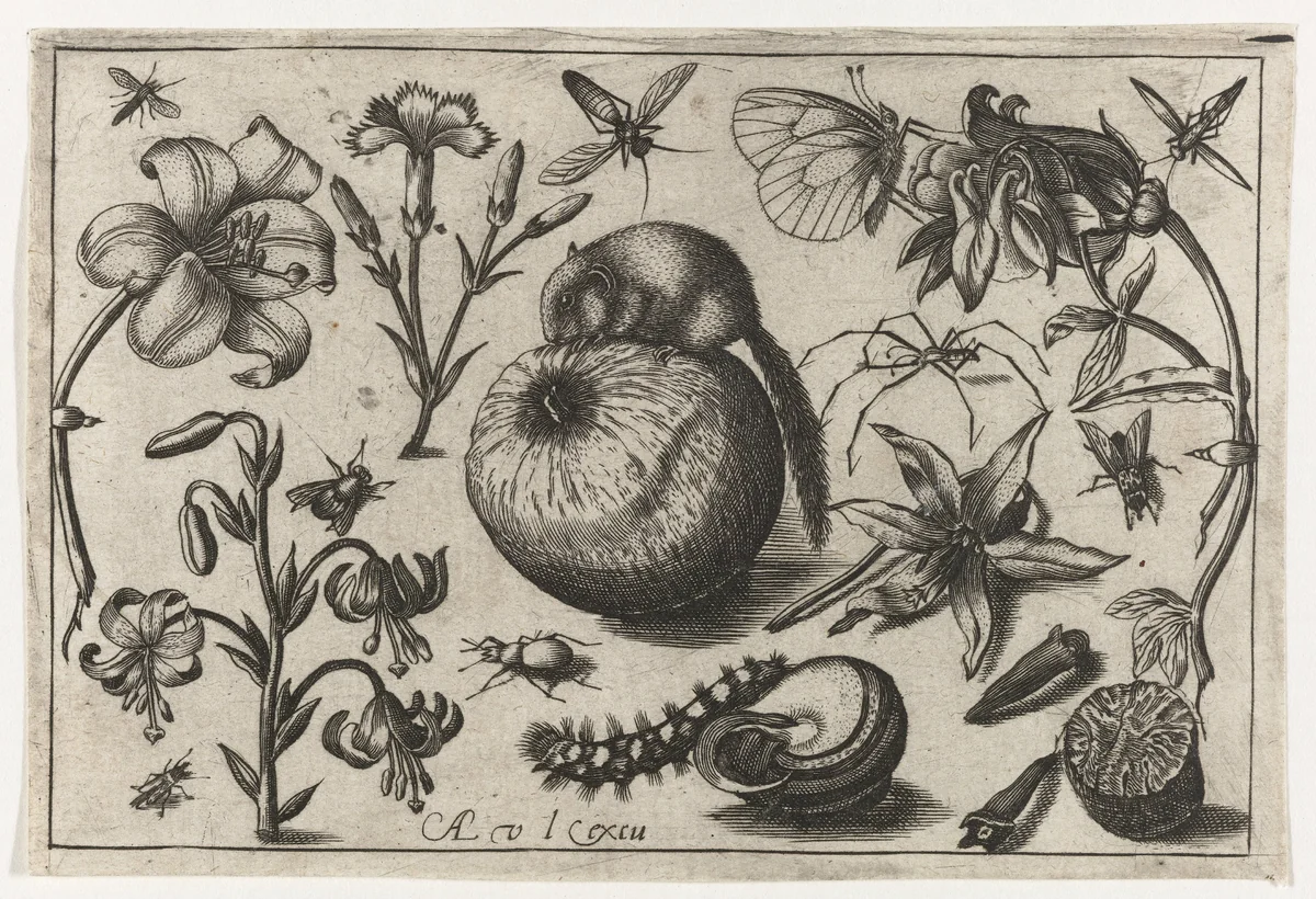 Bloemen en een muis op een appel by Unknown, print, 1594