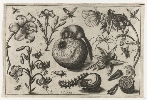 Bloemen en een muis op een appel by Unknown, print, 1594