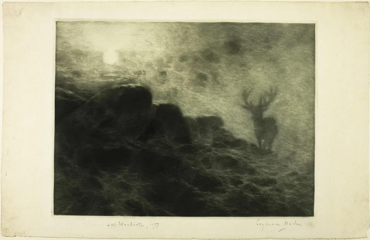An Early Riser by Francis Seymour-Haden, print, 1897