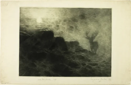An Early Riser by Francis Seymour-Haden, print, 1897