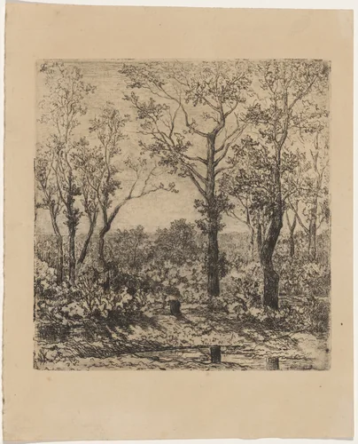 Bois de la charbonnière by Louis Hector François Allemand, print, 1877
