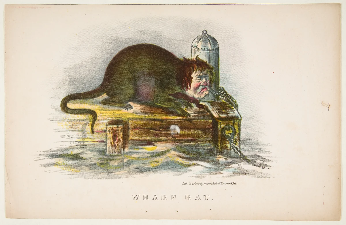 Wharf Rat, from "The Comic Natural History of the Human Race" by Henry Louis Stephens, print, 1851
