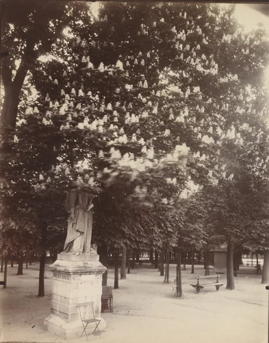Luxembourg by Eugène Atget, photograph