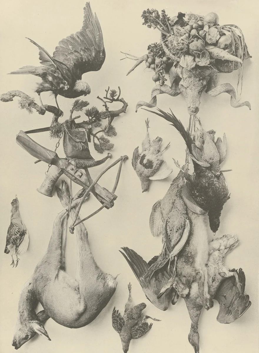 Page from Festons und Dekorative Gruppen by Unidentified Photographer, photograph, 1893