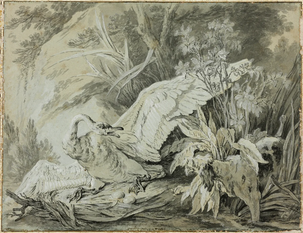 A Wild Swan Attacked by a Dog by Jean-Baptiste Oudry, drawing, 1730-1755