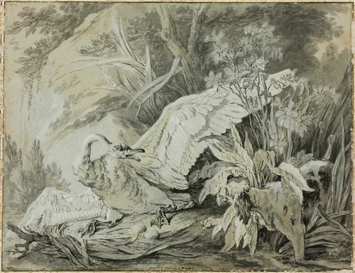 A Wild Swan Attacked by a Dog by Jean-Baptiste Oudry, drawing, 1730-1755
