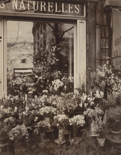 Boutique Fleurs, rue de Vaugirard by Eugène Atget, photograph, 1923