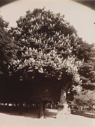 Luxembourg by Eugène Atget, photograph, 1922