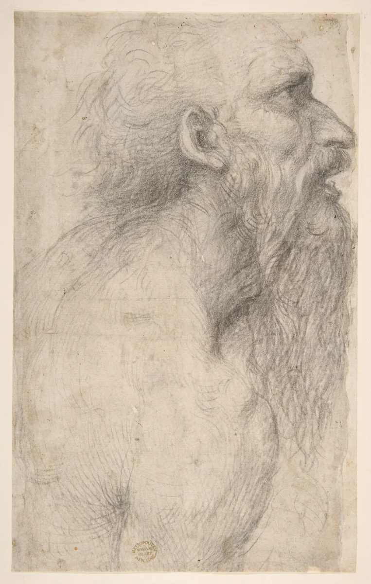 Bust of a Man with Long Beard (recto) by Giovanni Antonio Bazzi, drawing, 1477-1549