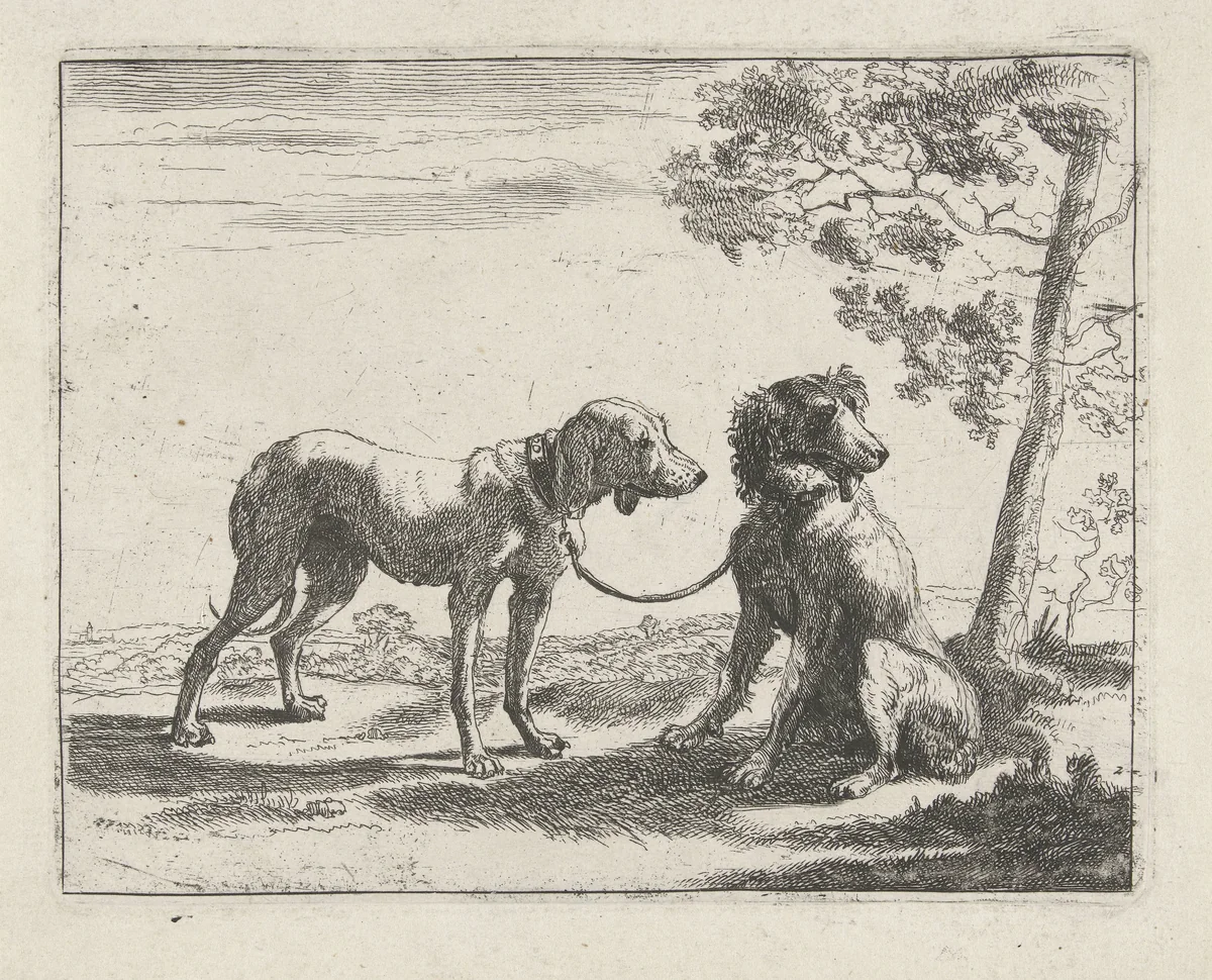 Twee honden by Pauwels van Hillegaert, print, 1654