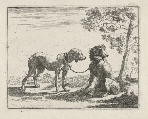 Twee honden by Pauwels van Hillegaert, print, 1654
