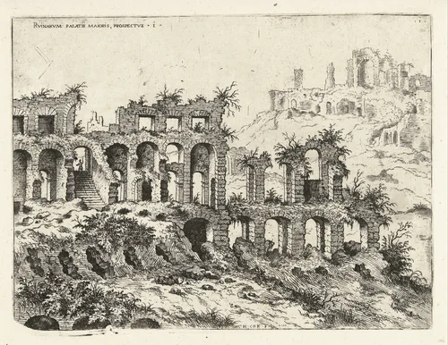 Gezicht op het Colosseum en de Palatijn by Unknown, print, 1551
