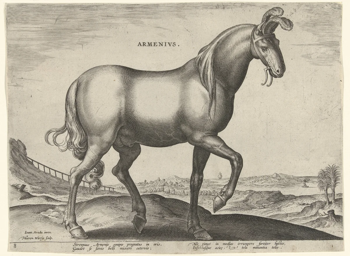 Paard uit Armenië (Armenius) by Unknown, print, 1583-1587