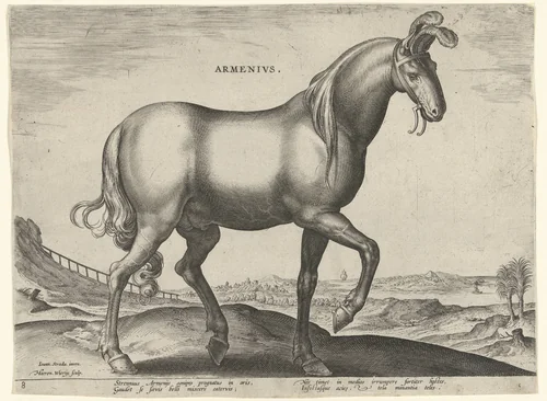 Paard uit Armenië (Armenius) by Unknown, print, 1583-1587
