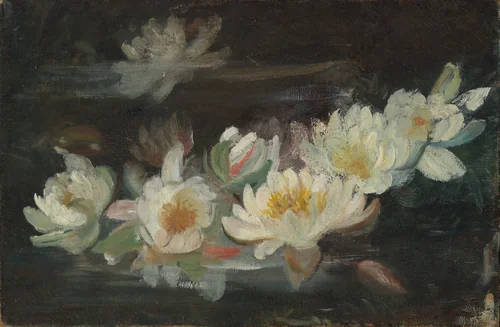 Water Lilies by Helena de Kay, artwork, 1865-1883