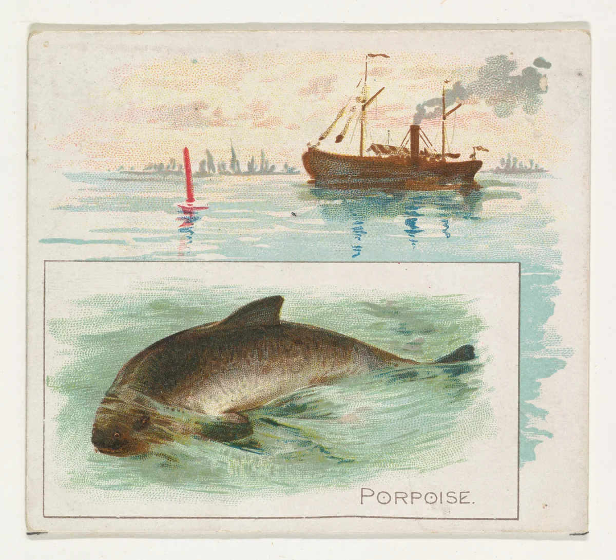 Porpoise, from Fish from American Waters series (N39) for Allen & Ginter Cigarettes by Allen & Ginter, print, 1889