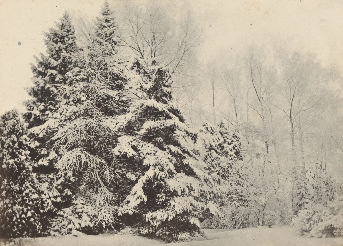 Paysage de sapins sous la neige by Baron A. Faÿs, photograph, 1852