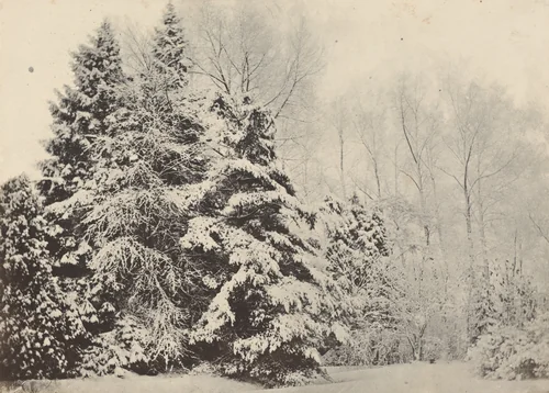 Paysage de sapins sous la neige by Baron A. Faÿs, photograph, 1852