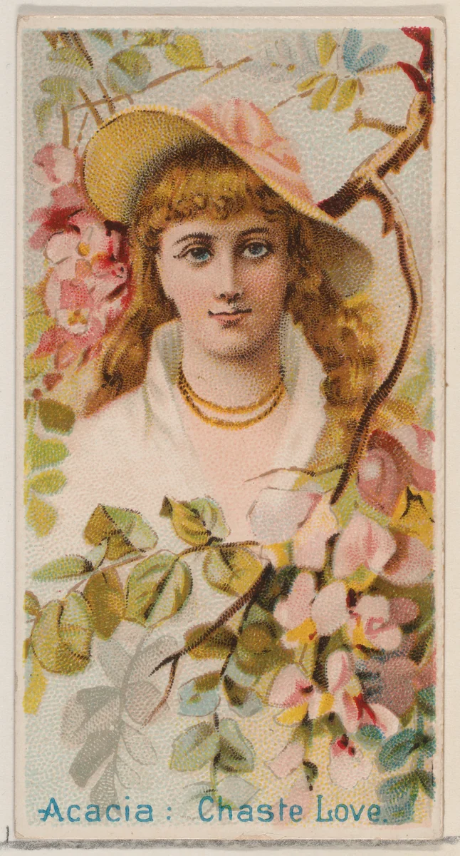 Acacia: Chaste Love, from the series Floral Beauties and Language of Flowers (N75) for Duke brand cigarettes by American Tobacco Company, print, 1892