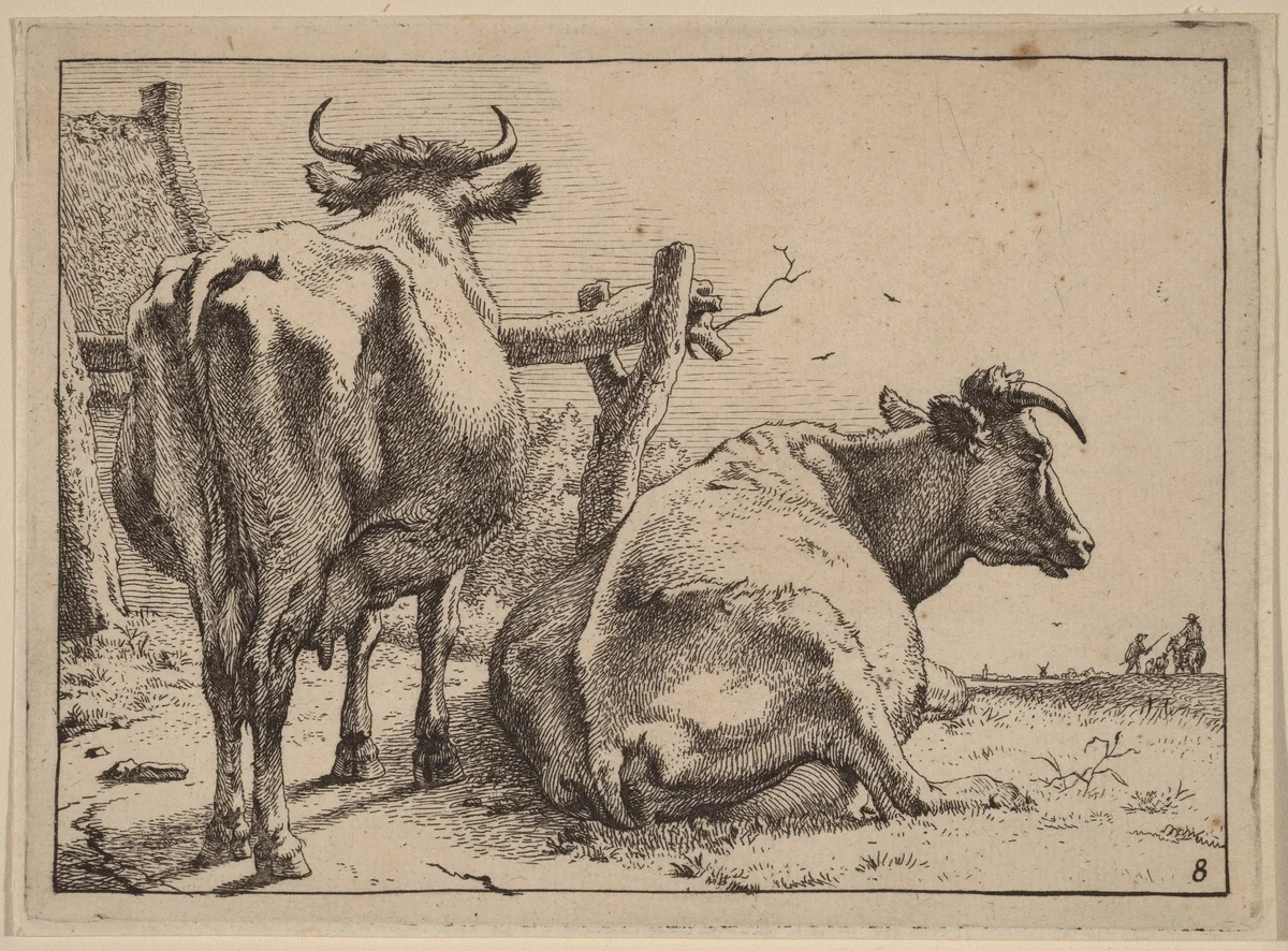 Two Cows Seen from Behind by Paulus Potter, print, 1650