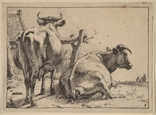 Two Cows Seen from Behind by Paulus Potter, print, 1650