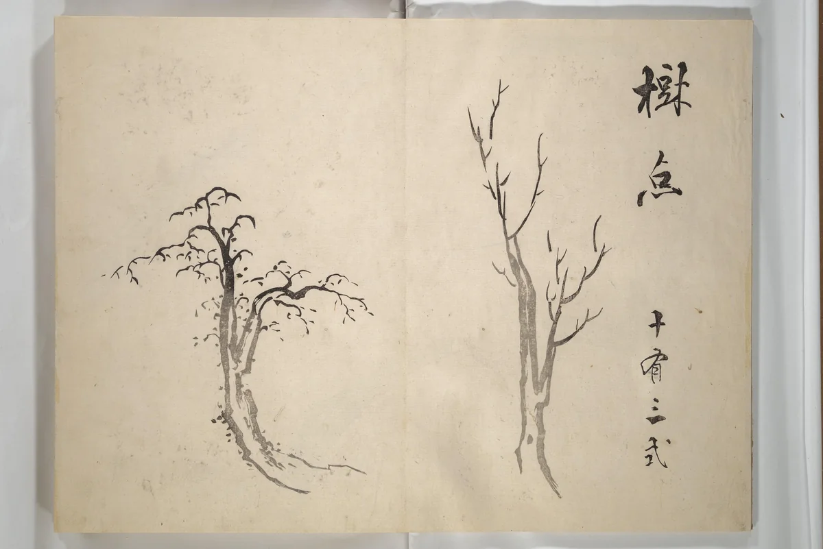 Taiga Hall Painting Album (Taigadō gafu) by Ike no Taiga (池大雅), book, 1803