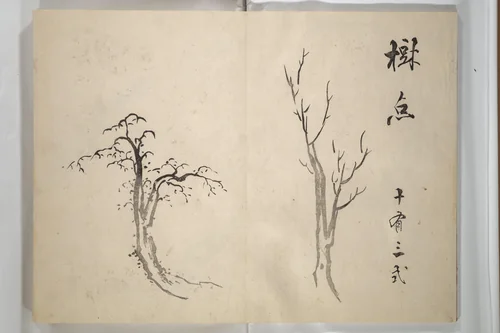 Taiga Hall Painting Album (Taigadō gafu) by Ike no Taiga (池大雅), book, 1803