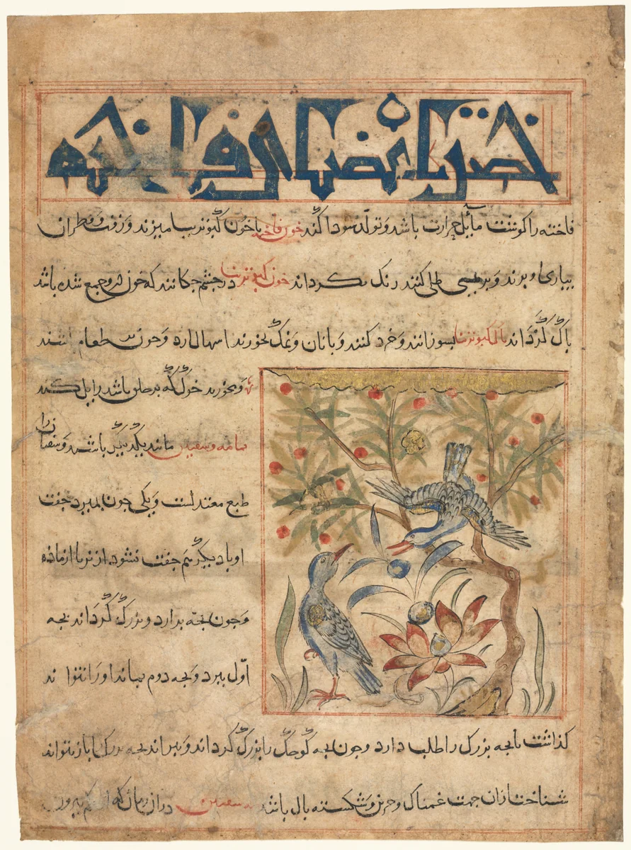 Folio from a Persian Manafi‘ al-Hayawan (The Benefits of Animals) of Abu Said Ubaid-Allah ibn Jibrail ibn Bakhtishu (died 1058–68) (recto) by Unknown, manuscript, 1295-1305