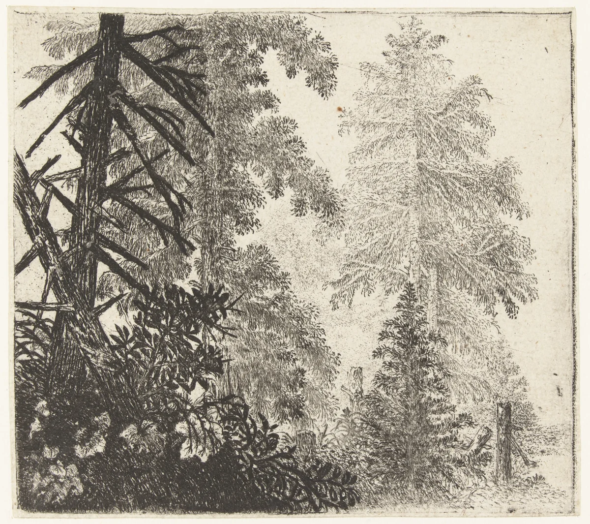 Landschap met de twee sparren by Jan van Brosterhuyzen, print, 1610-1650