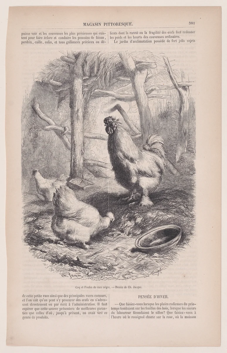 Silkie Cock and Hens, from "Le Magasin Pittoresque" by Charles Jacque, print, 1848-1864
