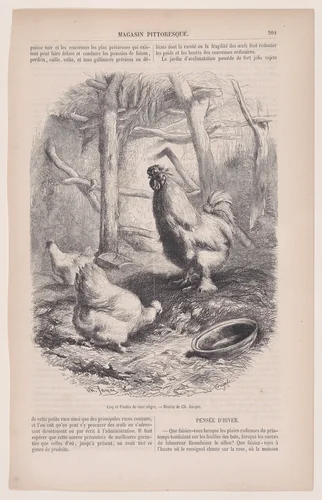 Silkie Cock and Hens, from "Le Magasin Pittoresque" by Charles Jacque, print, 1848-1864