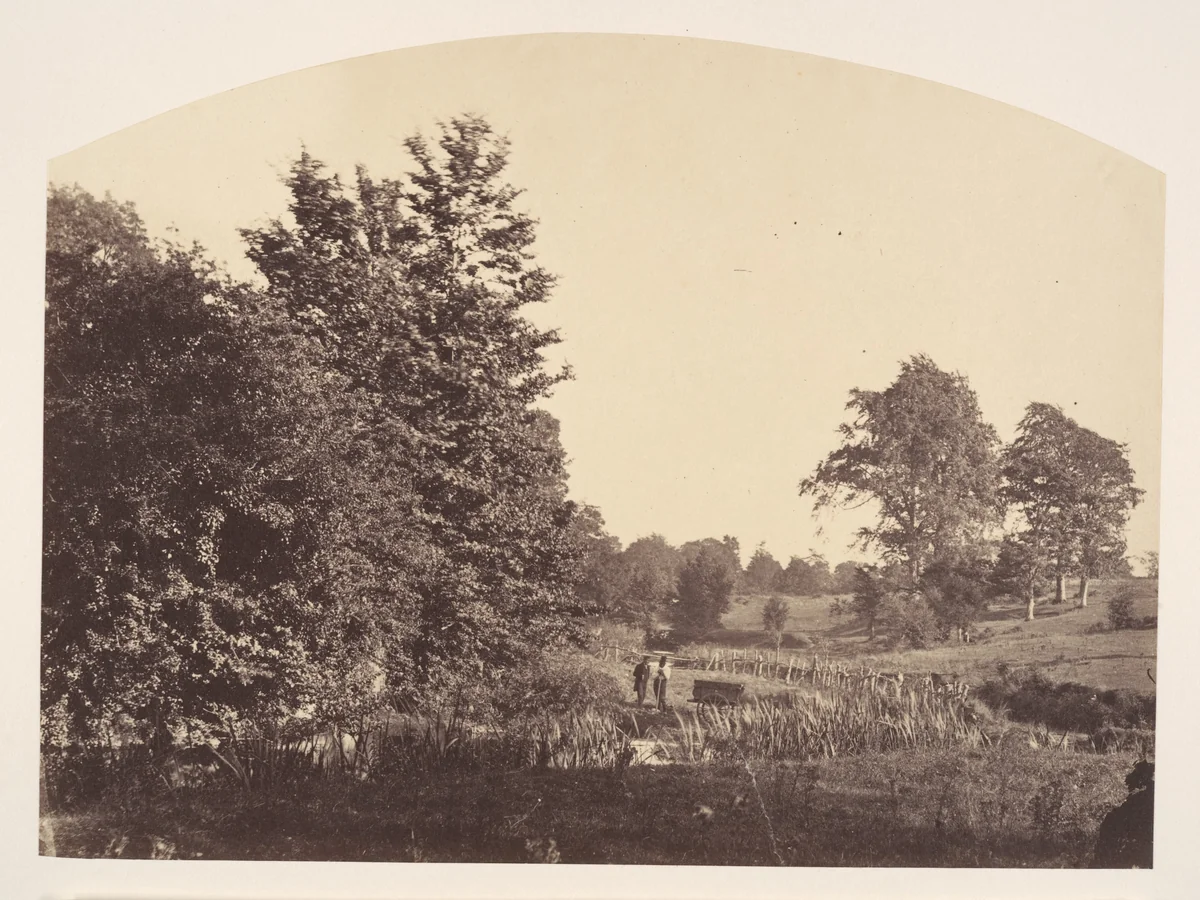 The Woodland Stream by Plunket, photograph, 1856
