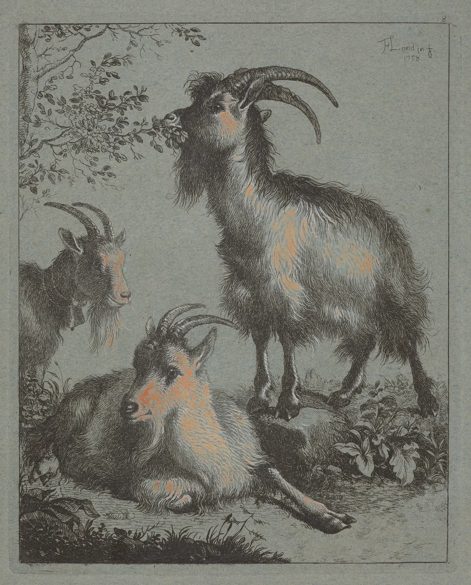 Three Goats by Francesco Londonio, print, 1758