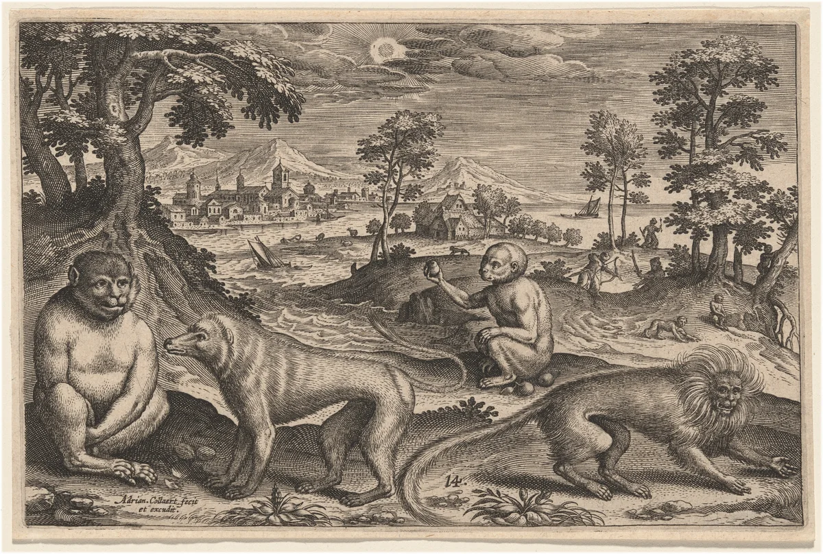 Two Apes and Two Monkeys by Adriaen Collaert, print, 1592-1602